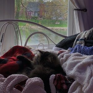 Meet your Posher, Sam